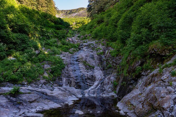 Ketchikan Mountain Lake Trek to Avalanche Chute - Highlights of the Experience