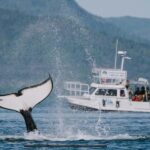 Ketchikan: Orca Cove Fast Boat and Sea Kayak Tour - Food, Comfort, and Practical Details