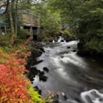 Ketchikan Photo Safari - The Value of the Experience