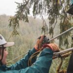 Ketchikan: Rainforest Canopy & Zipline Adventure - Key Points