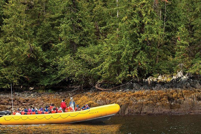 Ketchikan Rainforest Island and Boat Adventure - Who Will Love This Tour?