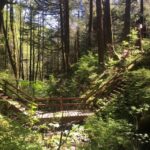 Ketchikan: Tongass Forest Alaska Bigfoot ATV Ride and Hike - Whats Included and Pricing