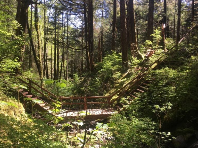 Ketchikan: Tongass Forest Alaska Bigfoot ATV Ride and Hike - Whats Included and Pricing