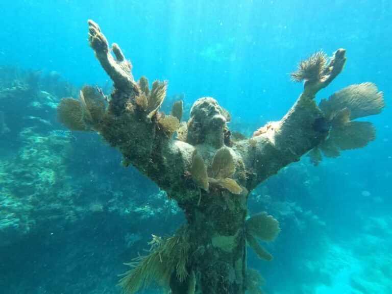 Key Largo: 2-Tank Shallow Reef Dive with Guide & Photos - Who Should Consider This Tour?