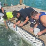 Key Largo and Islamorada Private Tour by Cabriolet Bus - Authentic Traveler Insights