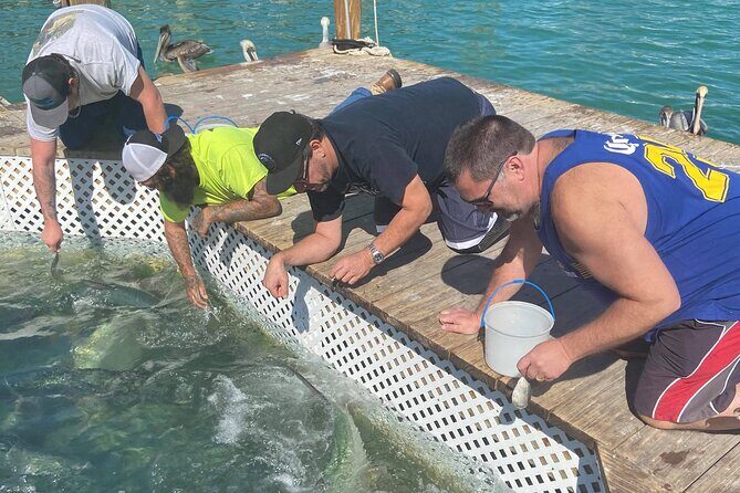 Key Largo and Islamorada Private Tour by Cabriolet Bus - Authentic Traveler Insights