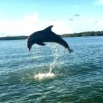 Key Largo Mangrove Private Eco-Tours - The Experience in Detail