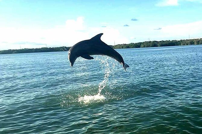 Key Largo Mangrove Private Eco-Tours - The Experience in Detail