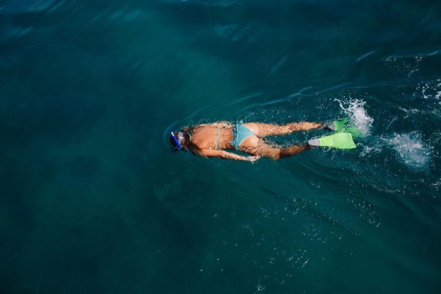 Key West: 3-Hour Afternoon Reef Snorkel with Drinks - Snorkel Gear and Safety