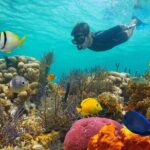 Key West: 3hr Snorkeling Experience with Unlimited Drinks - What to Expect from Your Snorkeling Adventure in Key West