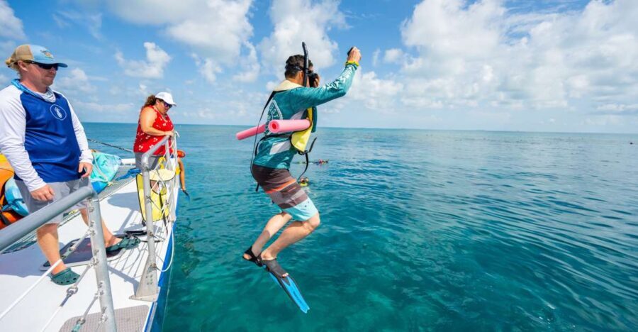 Key West: Afternoon Reef Snorkel Tour with Open Bar - The Snorkeling Experience: Marine Life and Water Conditions