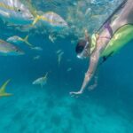 Key West Afternoon Snorkel Sail with Unlimited Cocktails! - Who Is This Tour Best For?
