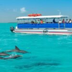 Key West: Dolphin Watching and Snorkeling Eco Cruise Tour - Who Is This Tour Best For?