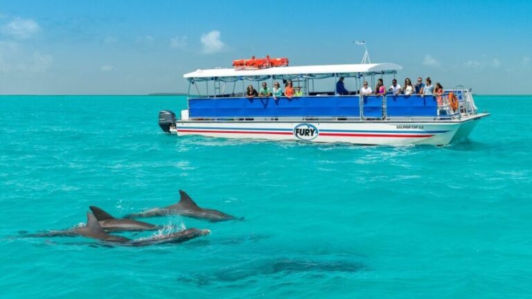 Key West: Dolphin Watching and Snorkeling Eco Cruise Tour - Who Is This Tour Best For?