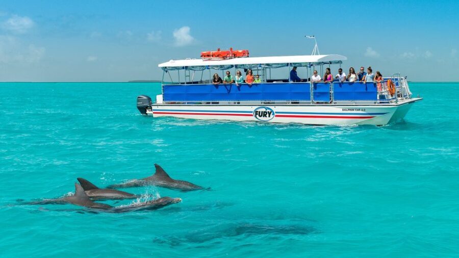 Key West: Dolphin Watching and Snorkeling Eco Cruise Tour - Who Is This Tour Best For?