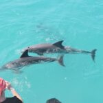 Key West: Dolphin Watching and Snorkeling Sunset Cruise - What’s Included — and Whats Not