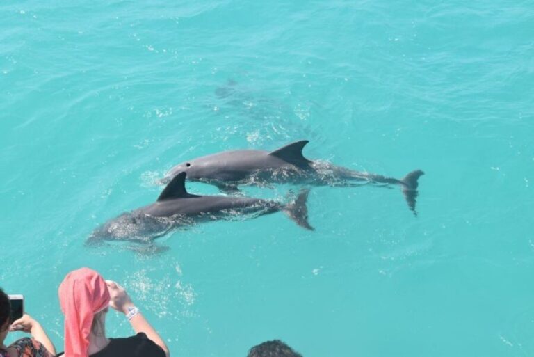 Key West: Dolphin Watching and Snorkeling Sunset Cruise - What’s Included — and Whats Not
