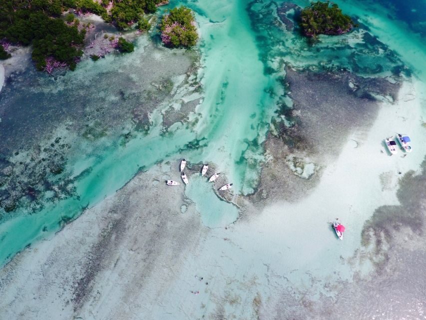 Key West: Eco Safari Sandbar Tour with Snorkeling - What’s Included and What’s Not