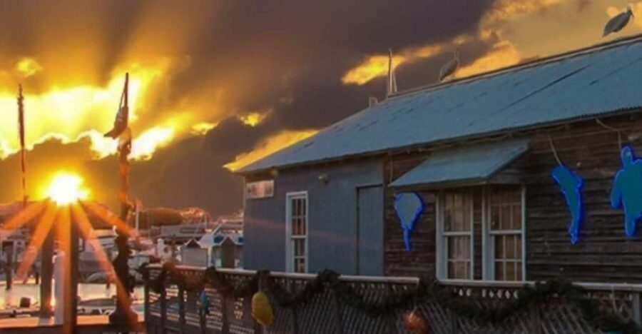 Key West: Hemingway's Life and Local Food Walking Tour - The Guide and the Experience