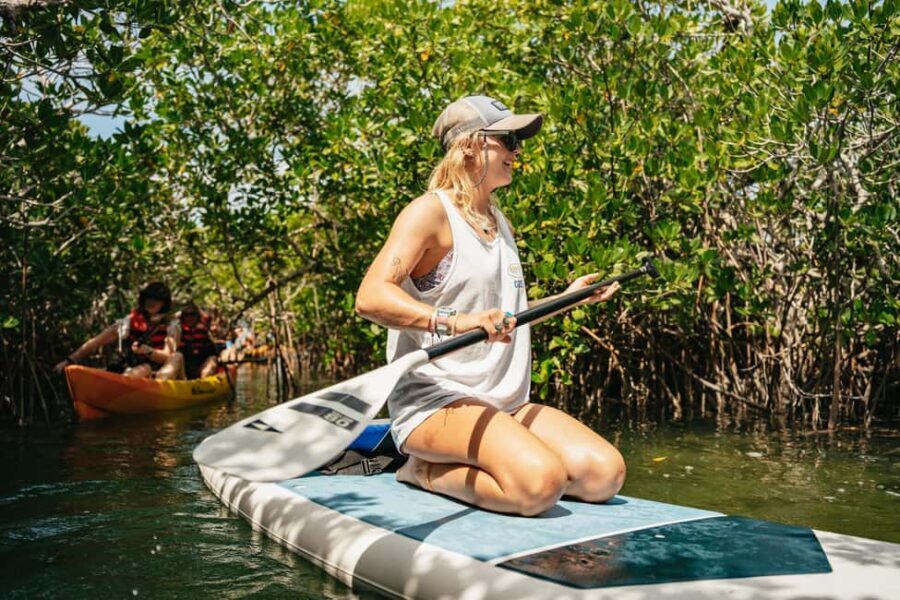Key West: Hidden Sanctuary Kayak Tour with Sandbar Safari - What’s Included and What to Expect