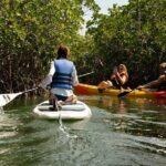 Key West Hidden Sanctuary Mangrove Kayak Tour With Drinks - An In-Depth Look at the Tour Experience