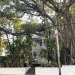 Key West History Audio Guided Walking Tour - Why This Tour Could Be a Great Fit