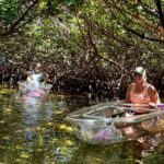 Key West Kayak Eco Tour | An Eco-Friendly Adventure Awaits! - Practical Details and What You Should Know