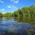 Key West: Kayak or Paddleboard Rental - What the Experience Feels Like