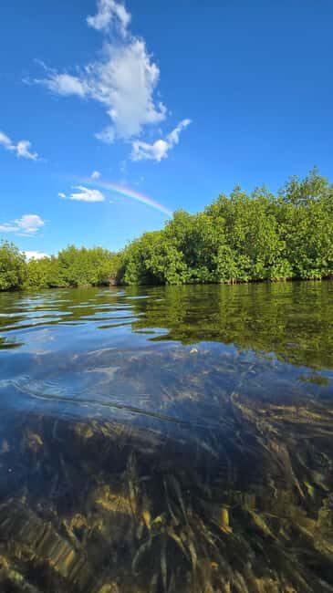 Key West: Kayak or Paddleboard Rental - What the Experience Feels Like