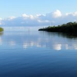 Key West Kayak Rental - The Bottom Line