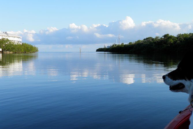 Key West Kayak Rental - The Bottom Line