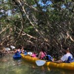 Key West Mangrove Kayak Eco Tour - The Itinerary: A Closer Look
