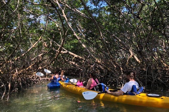 Key West Mangrove Kayak Eco Tour - The Itinerary: A Closer Look