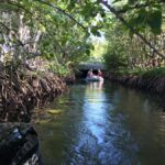 Key West: Mangroves & Bars Motorboat Tour - What to Expect from the Itinerary