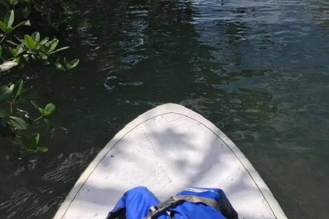 Key West Stand Up Paddleboard Rental - What’s Included and What You Need to Know