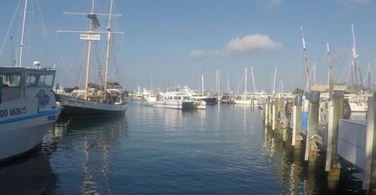 Key West Tour and Coral Reef Snorkeling with Open Bar - Exploring Key West on Your Own