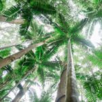 K'gari (Fraser Island) Explorer 2-Day Tour - Who Should Consider This Tour?