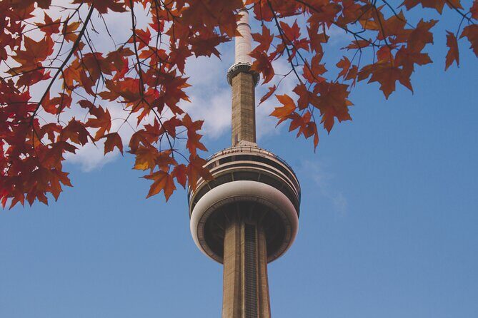 Kickstart Your Trip in Toronto - The Meeting Point & Flexibility