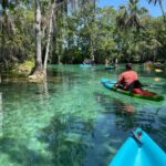 Kings Bay, Crystal River: Gentle Sunrise Manatee Kayak Tour - What You’re Likely to See and Experience