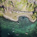 Kings Bay Eco Tours - The Downside and Considerations