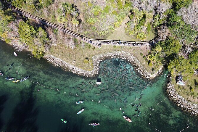 Kings Bay Eco Tours - The Downside and Considerations