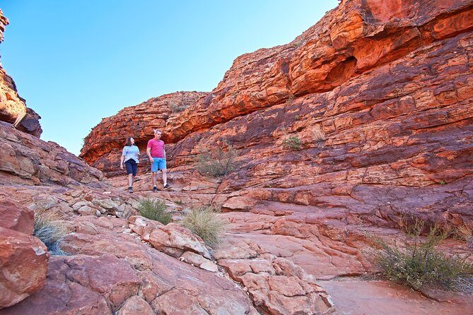 Kings Canyon Day Trip from Ayers Rock (Uluru) - Points to Consider Before Booking