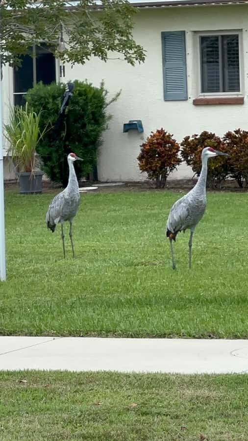 Kissimmee: 4-Hour All Electric Mountain Bike Lakefront Tour - What to Expect During the Tour