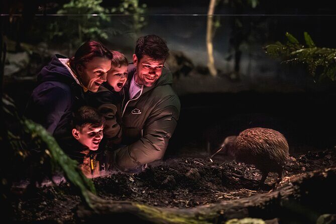 Kiwi Park Queenstown Admission - The Experience: What Youll See and Do