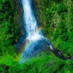 Kohala Coast Volcano Waterfalls-90 Min Heli Tour-Doors Off or On - Practical Details and What They Mean for You