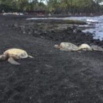 Kona: Choose Your Own Adventure - How the Day Unfolds