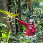Kona Cloud Forest Sanctuary Pantropical Tour (1.5 hrs) - Value for Money