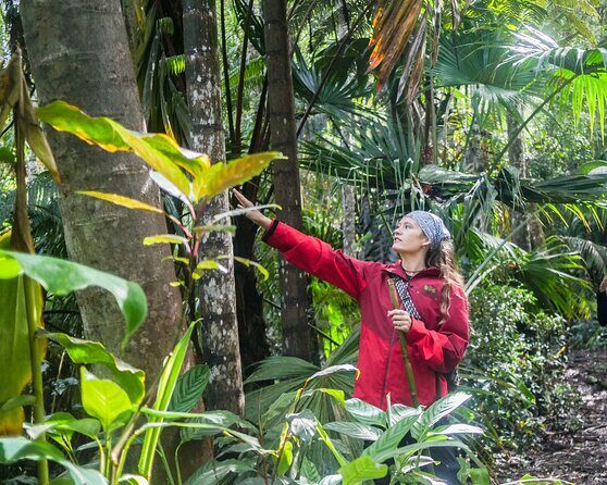 Kona Cloud Forest Sanctuary Pantropical Tour (1.5 hrs) - Value for Money