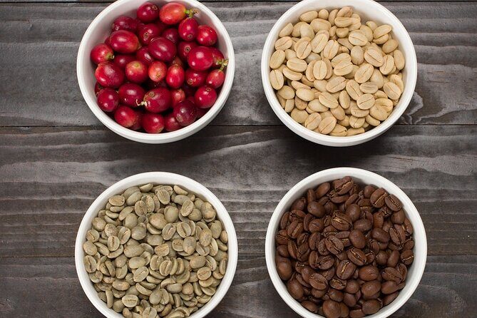 Kona Coffee Roasting Experience - The Meeting Point and Logistics