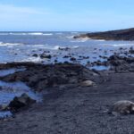 Kona: Hawaii Volcanoes National Park Tour - Who Will Love This Tour?